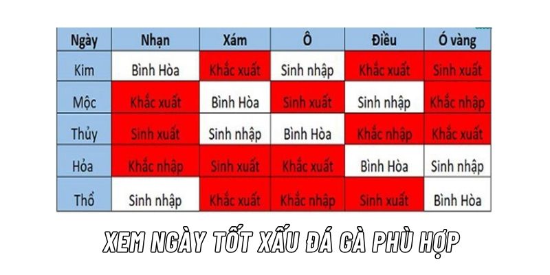 cách xem màu mạng gà đá