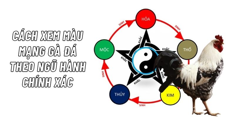 cách xem màu mạng gà đá