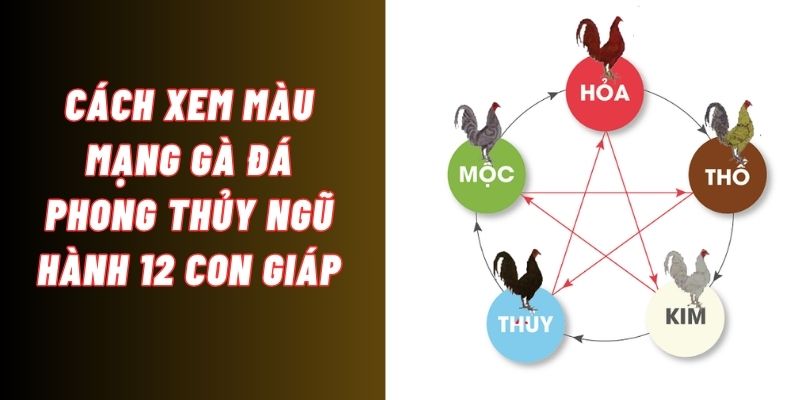 cách xem màu mạng gà đá