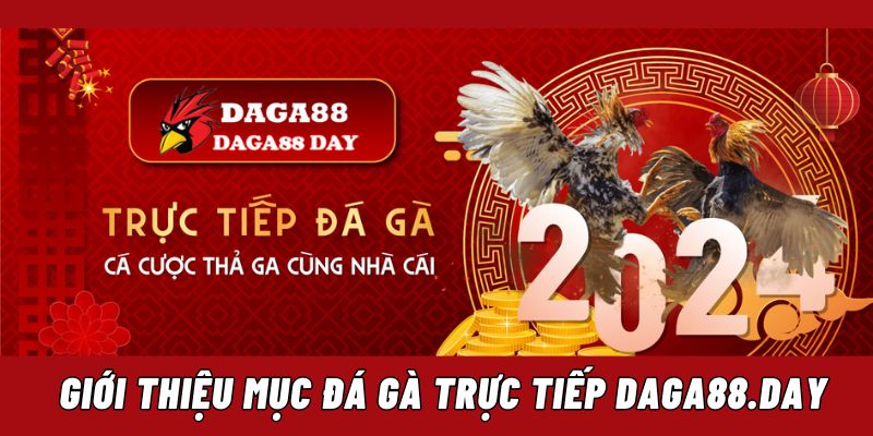 đá gà trực tiếp