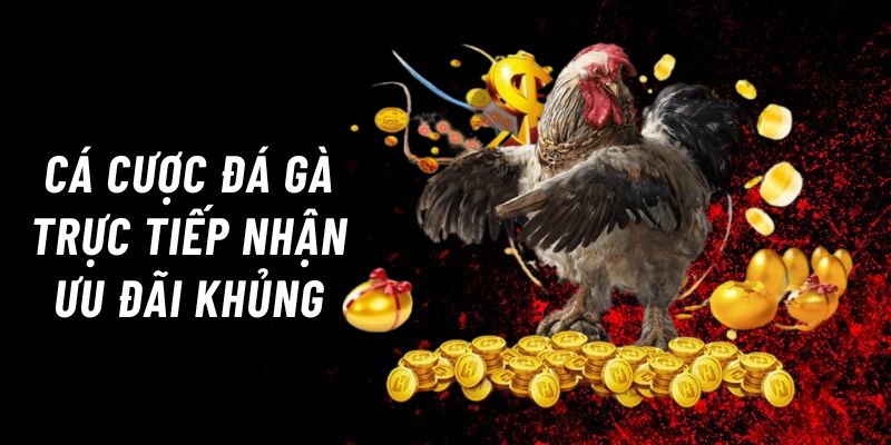 đá gà trực tiếp