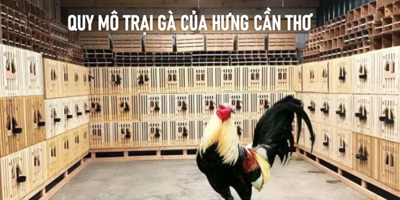 hưng cần thơ