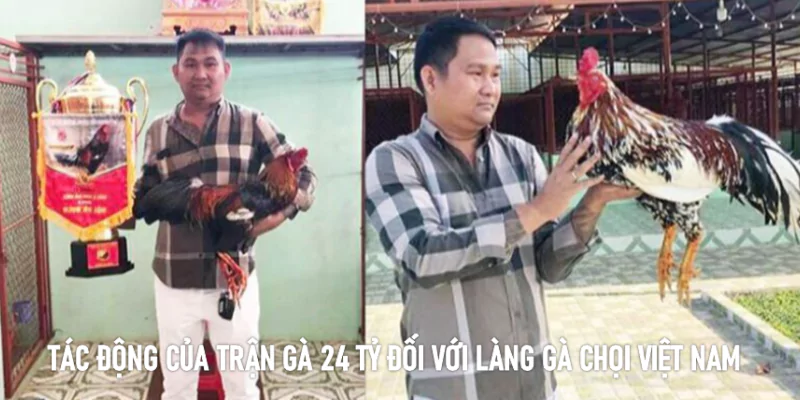 trận gà đá 24 ty