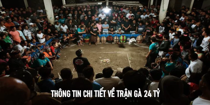 trận gà đá 24 ty