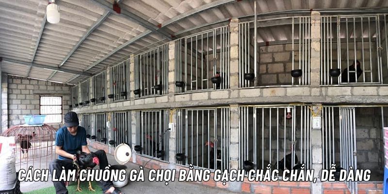 cách làm chuồng gà chọi