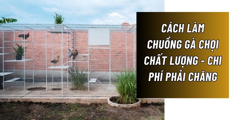 cách làm chuồng gà chọi