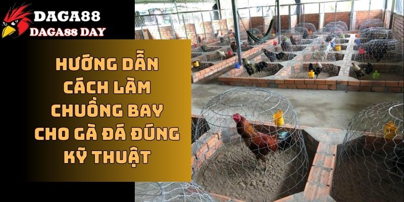 Cách làm chuồng bay cho gà đá