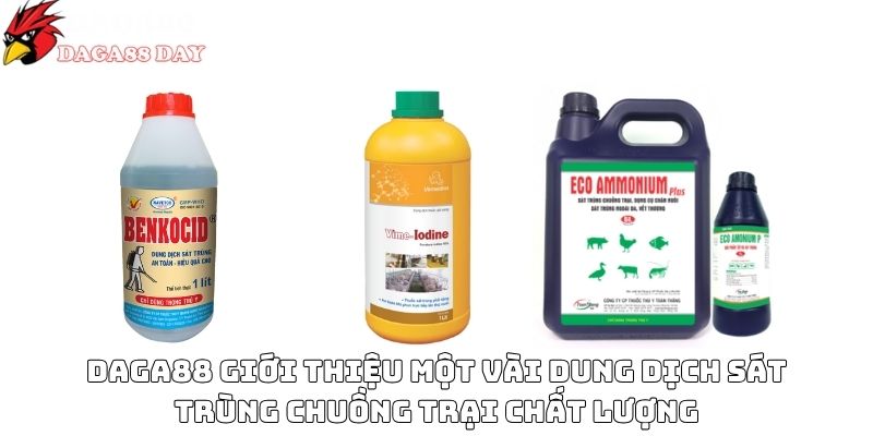 cách vệ sinh chuồng gà chuẩn