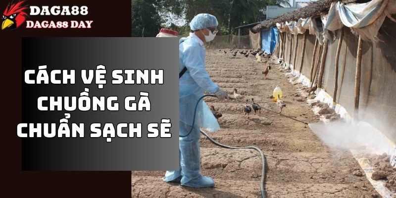 cách vệ sinh chuồng gà chuẩn