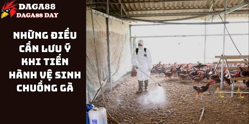 cách vệ sinh chuồng gà chuẩn