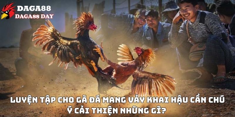 vảy gà khai hậu