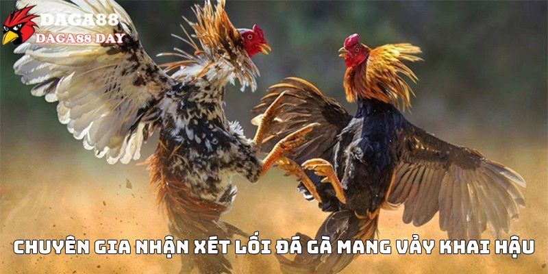 vảy gà khai hậu