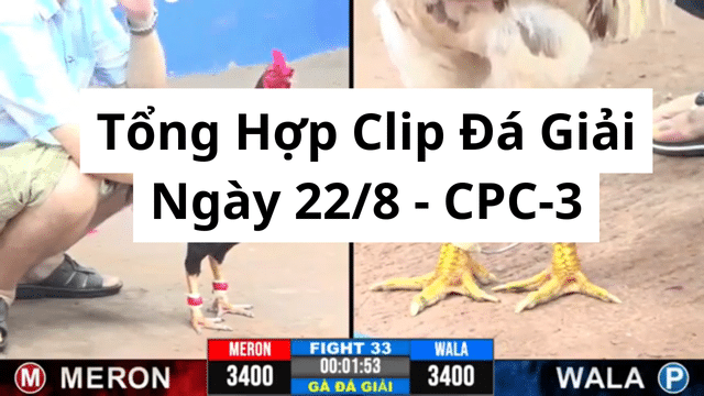 Tổng Hợp Clip Đá Giải Ngày 22/8 CPC-3