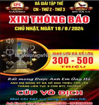 Đá giải ngày 18/8/2024